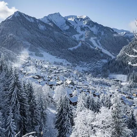 In Heart Of Apartment Châtel